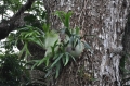 2013-10_CubaActive_B (196)
